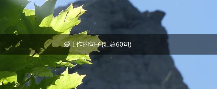 爱工作的句子(汇总60句),第1张