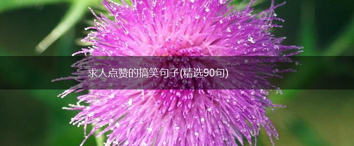 求人点赞的搞笑句子(精选90句),第1张 求人点赞的搞笑句子(精选90句),第1张