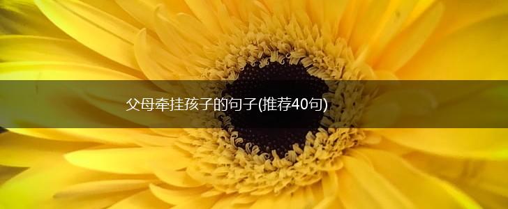 父母牵挂孩子的句子(推荐40句),第1张