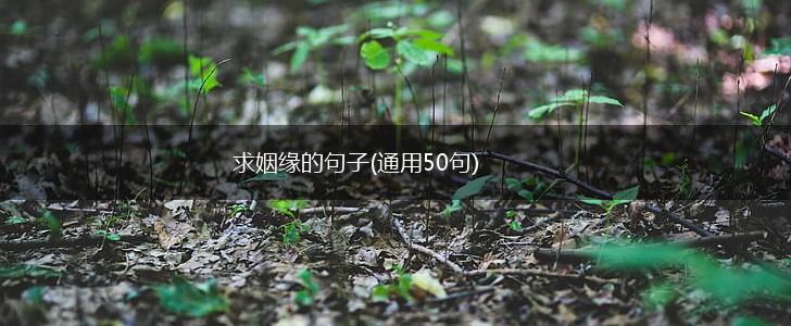 求姻缘的句子(通用50句),第1张