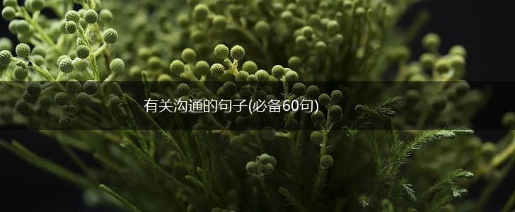 有关沟通的句子(必备60句),第1张