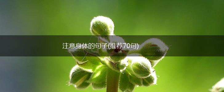 注意身体的句子(推荐70句),第1张 注意身体的句子(推荐70句),第1张