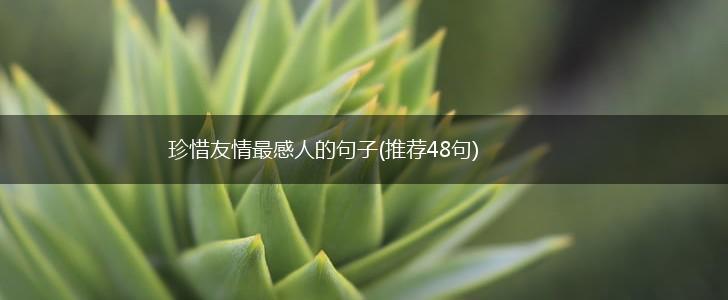 珍惜友情最感人的句子(推荐48句),第1张