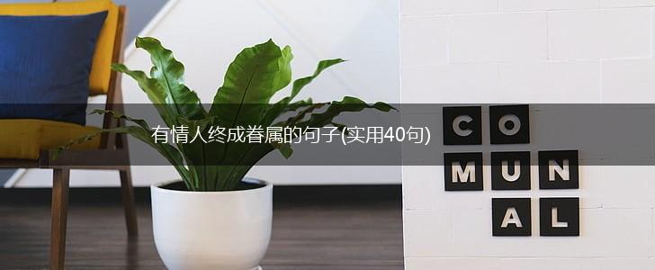 有情人终成眷属的句子(实用40句),第1张