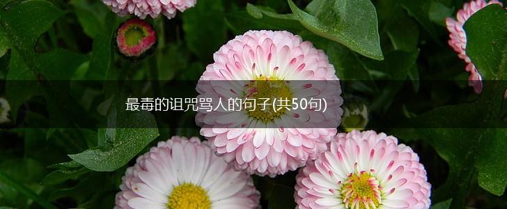 最毒的诅咒骂人的句子(共50句),第1张