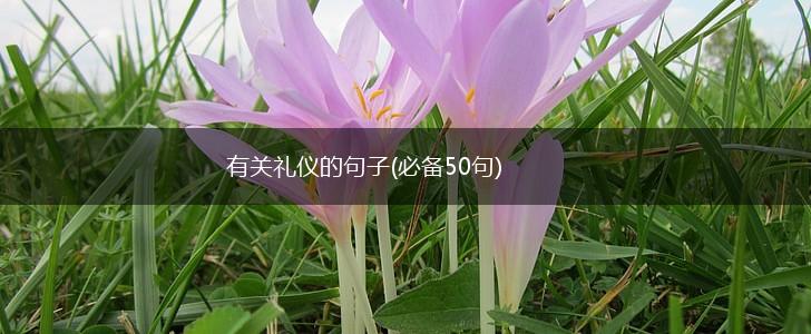 有关礼仪的句子(必备50句),第1张