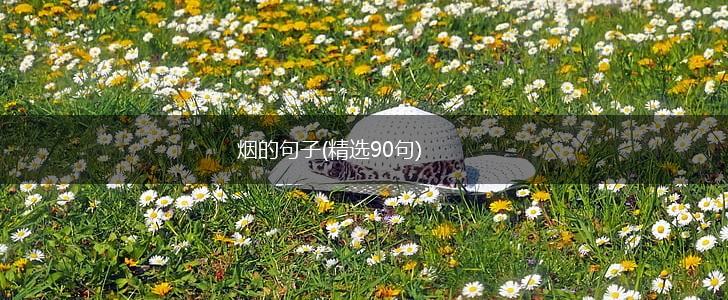 烟的句子(精选90句),第1张