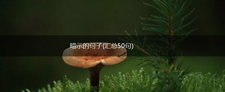 暗示的句子(汇总50句),第1张