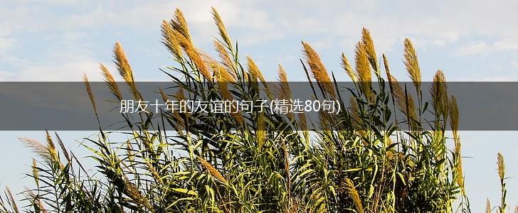 朋友十年的友谊的句子(精选80句),第1张