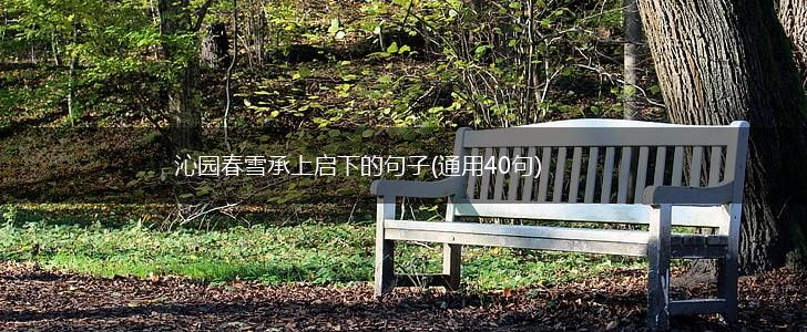 沁园春雪承上启下的句子(通用40句),第1张