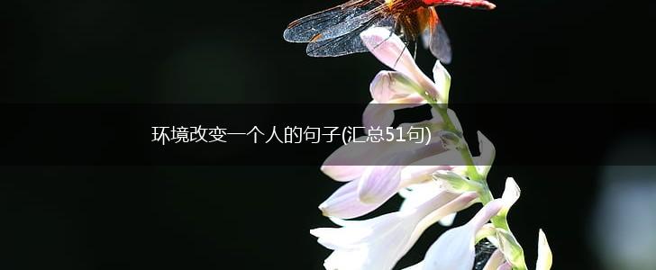 环境改变一个人的句子(汇总51句),第1张