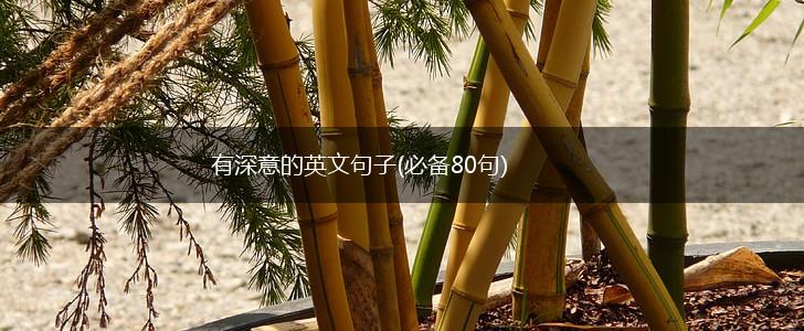 有深意的英文句子(必备80句),第1张
