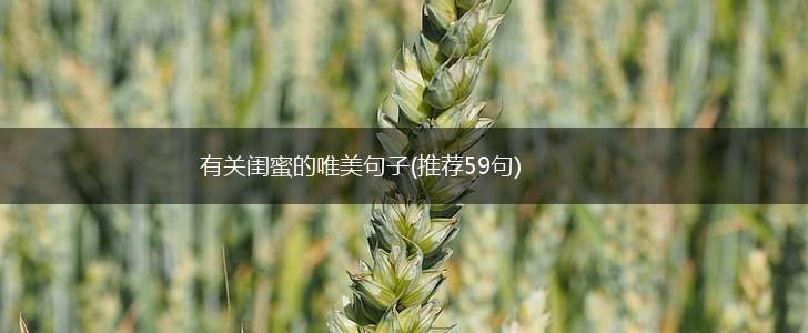 有关闺蜜的唯美句子(推荐59句),第1张