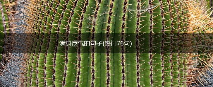 满身戾气的句子(热门76句),第1张