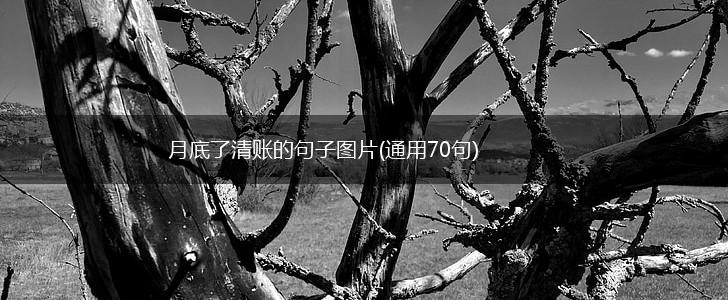 月底了清账的句子图片(通用70句)