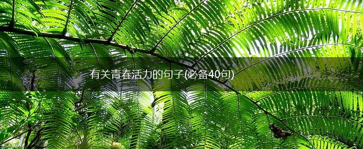 有关青春活力的句子(必备40句),第1张