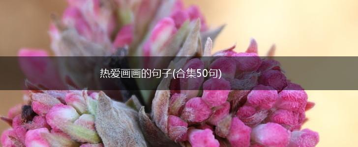 热爱画画的句子(合集50句),第1张