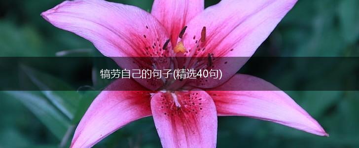 犒劳自己的句子(精选40句),第1张