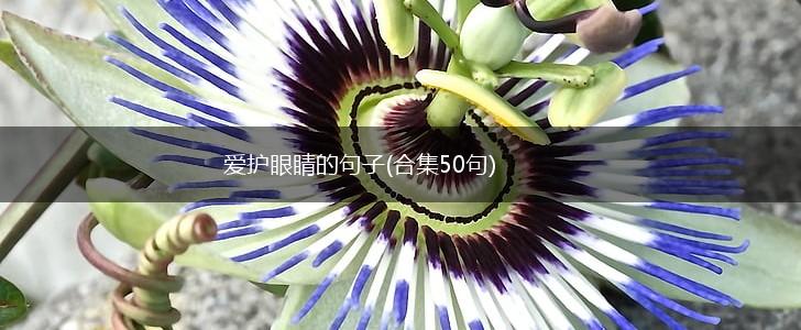 爱护眼睛的句子(合集50句),第1张