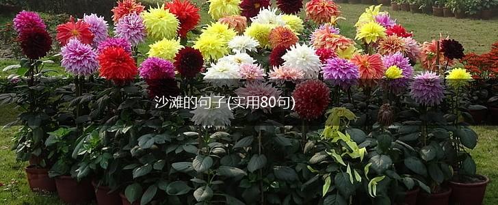 沙滩的句子(实用80句),第1张
