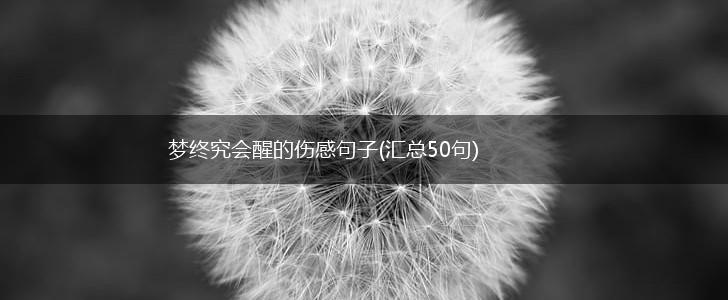 梦终究会醒的伤感句子(汇总50句),第1张