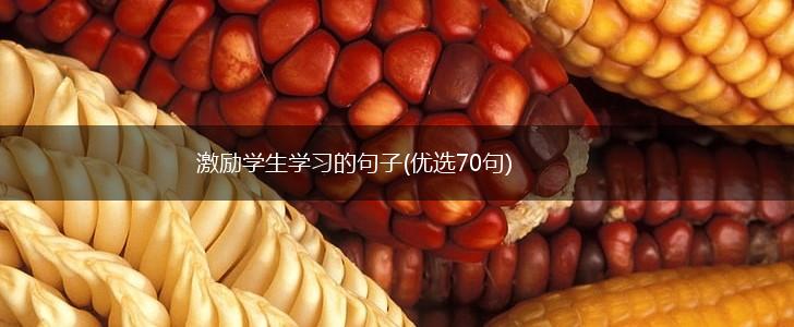 激励学生学习的句子(优选70句),第1张