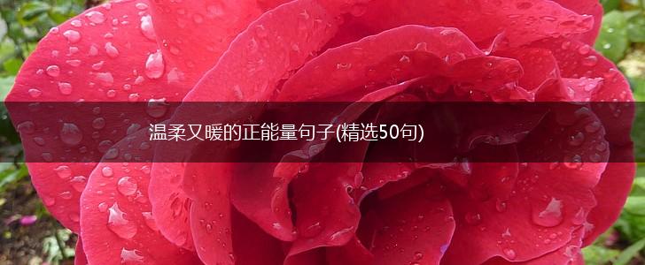 温柔又暖的正能量句子(精选50句),第1张