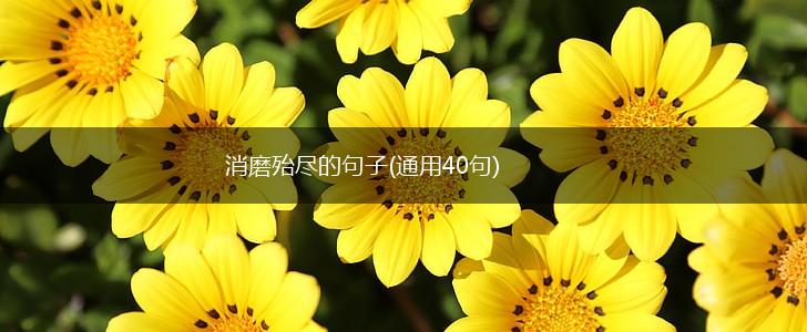 消磨殆尽的句子(通用40句),第1张