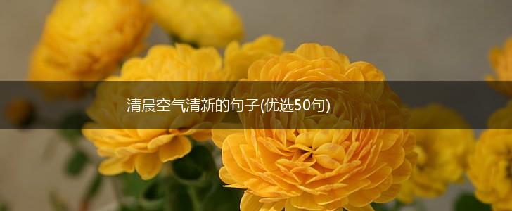 清晨空气清新的句子(优选50句),第1张