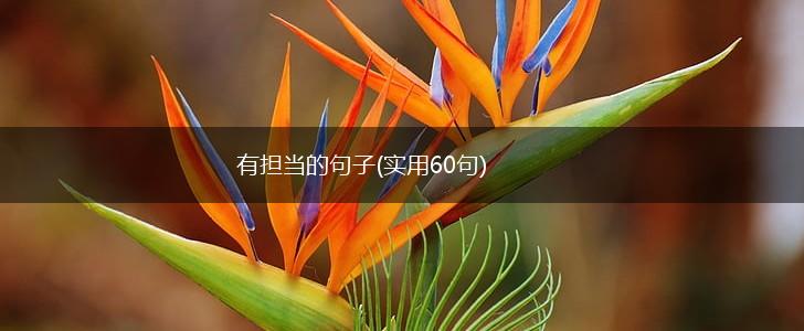 有担当的句子(实用60句),第1张