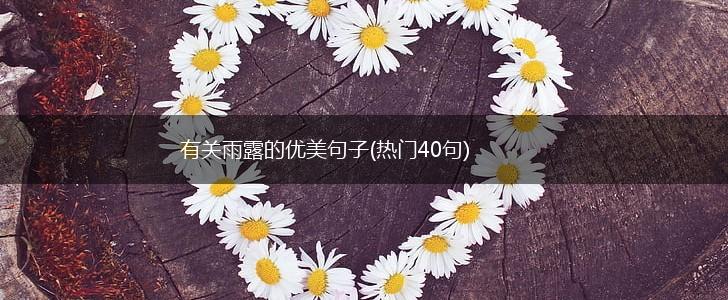 有关雨露的优美句子(热门40句),第1张