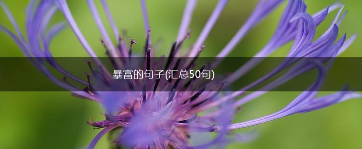 暴富的句子(汇总50句),第1张