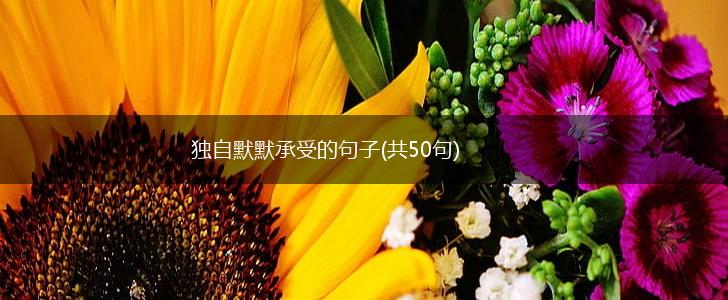 独自默默承受的句子(共50句),第1张