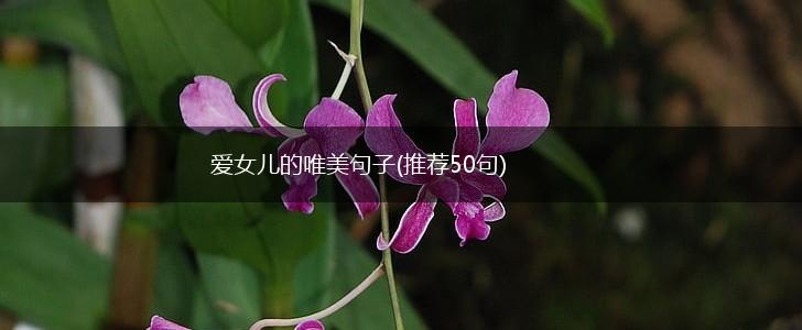 爱女儿的唯美句子(推荐50句),第1张
