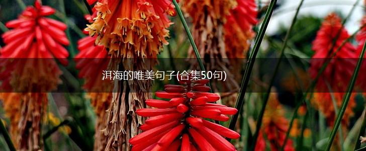 洱海的唯美句子(合集50句),第1张