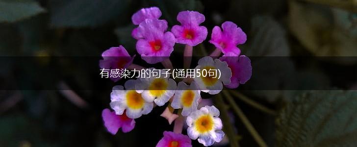有感染力的句子(通用50句),第1张