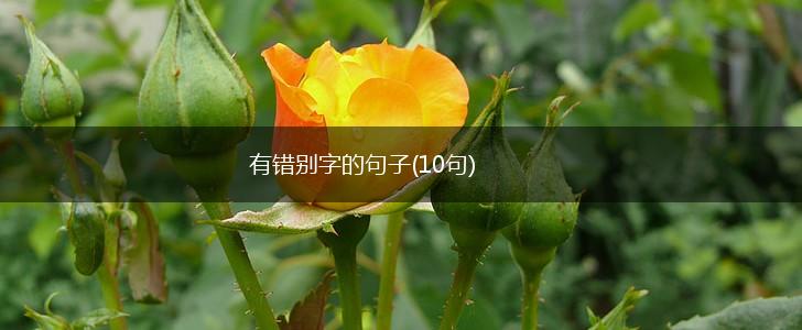 有错别字的句子(10句),第1张 有错别字的句子(10句),第1张