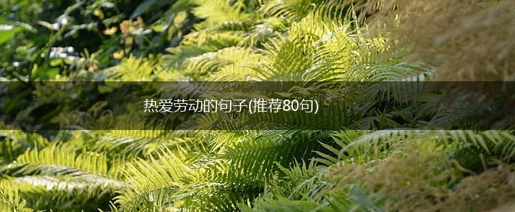 热爱劳动的句子(推荐80句),第1张