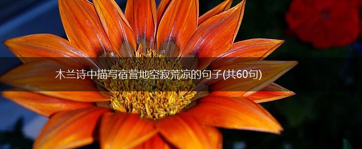 木兰诗中描写宿营地空寂荒凉的句子(共60句),第1张