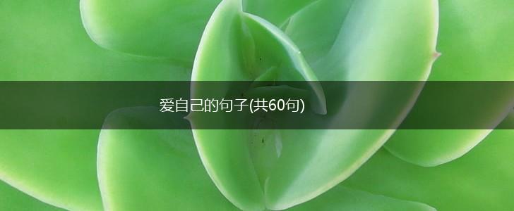 爱自己的句子(共60句),第1张