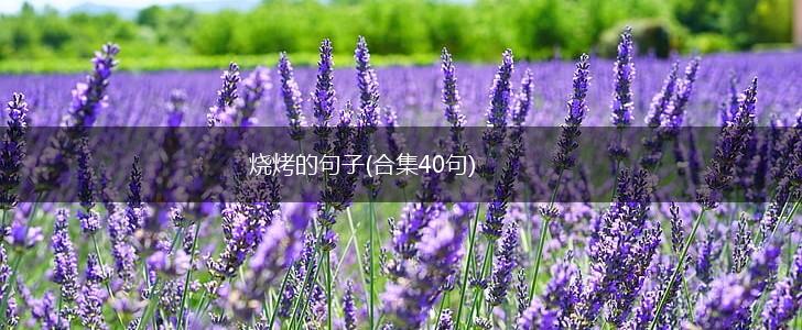 烧烤的句子(合集40句),第1张