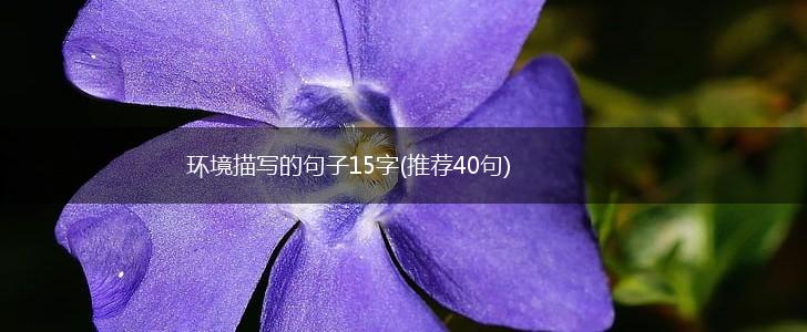 环境描写的句子15字(推荐40句),第1张