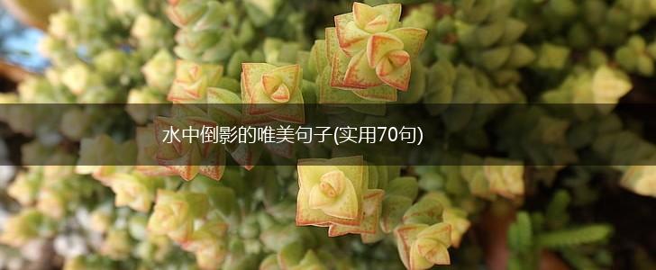 水中倒影的唯美句子(实用70句),第1张