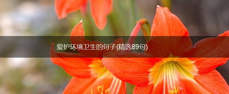 爱护环境卫生的句子(精选89句),第1张