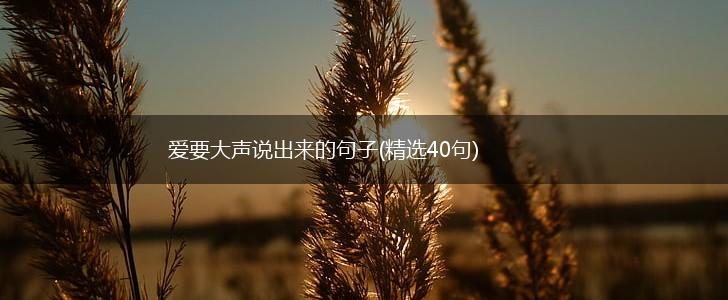 爱要大声说出来的句子(精选40句),第1张 爱要大声说出来的句子(精选40句),第1张