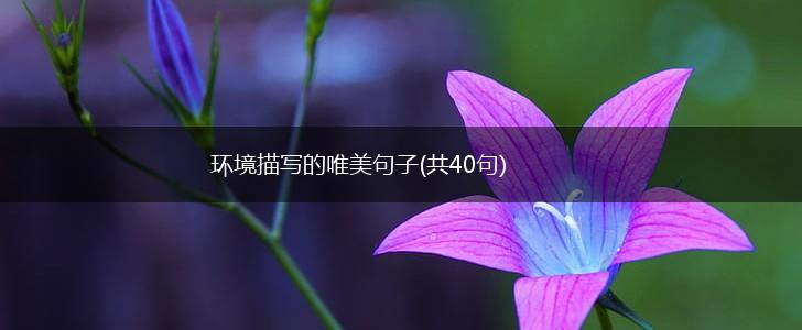 环境描写的唯美句子(共40句),第1张