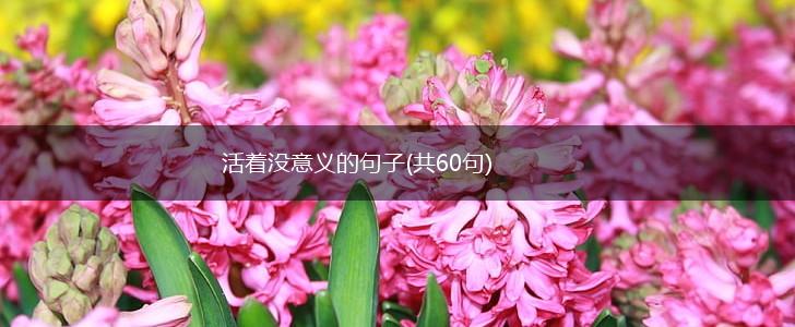 活着没意义的句子(共60句),第1张