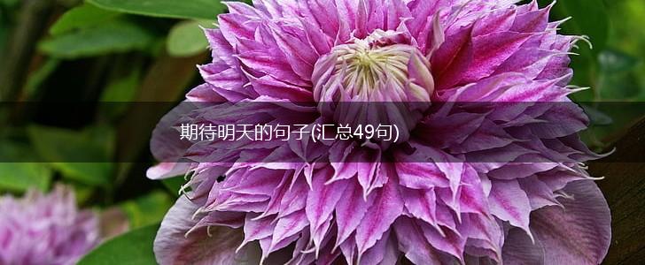 期待明天的句子(汇总49句),第1张