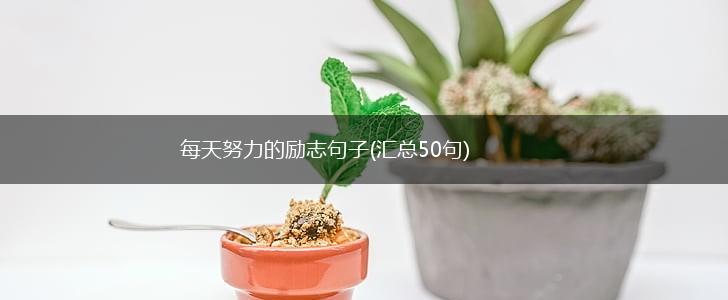 每天努力的励志句子(汇总50句),第1张