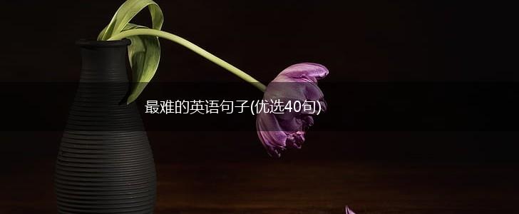 最难的英语句子(优选40句),第1张